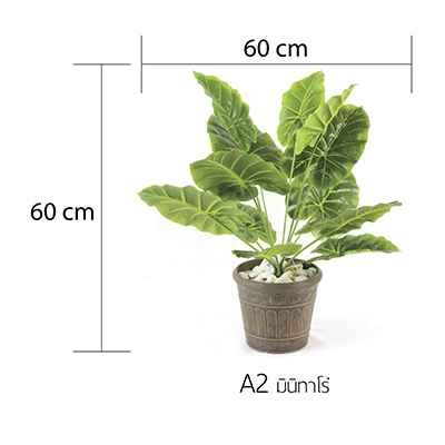 ต้นไม้ปลอม,กระถางต้นไม้,ต้นไม้พร้อมกระถาง,ต้นไม้ประดิษฐ์, ดอกไม้ปลอม,ดอกไม้ประดิษฐ์,แผ่นมอส,แผ่นต้นไม้,ติดผนัง,สวนแนวตั้ง,กระบองเพชร,ใส่กระถาง ,แต่งบ้าน, แต่งคอนโด, รีสอร์ท,โรงแรม,ของตกแต่งบ้าน,ของตกแต่งสวน,ตุ๊กตาแต่งสวน,ตุ๊กตาสังกะสี,โมบาย