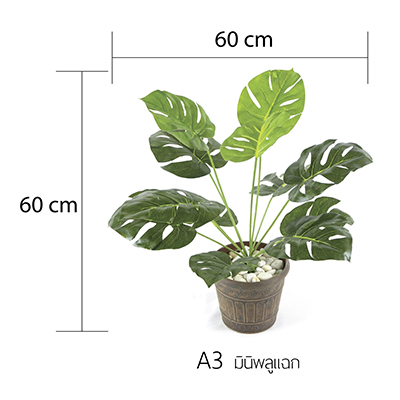 ต้นไม้ปลอม,กระถางต้นไม้,ต้นไม้พร้อมกระถาง,ต้นไม้ประดิษฐ์, ดอกไม้ปลอม,ดอกไม้ประดิษฐ์,แผ่นมอส,แผ่นต้นไม้,ติดผนัง,สวนแนวตั้ง,กระบองเพชร,ใส่กระถาง ,แต่งบ้าน, แต่งคอนโด, รีสอร์ท,โรงแรม,ของตกแต่งบ้าน,ของตกแต่งสวน,ตุ๊กตาแต่งสวน,ตุ๊กตาสังกะสี,โมบาย