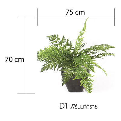 ต้นไม้ปลอม,กระถางต้นไม้,ต้นไม้พร้อมกระถาง,ต้นไม้ประดิษฐ์, ดอกไม้ปลอม,ดอกไม้ประดิษฐ์,แผ่นมอส,แผ่นต้นไม้,ติดผนัง,สวนแนวตั้ง,กระบองเพชร,ใส่กระถาง ,แต่งบ้าน, แต่งคอนโด, รีสอร์ท,โรงแรม,ของตกแต่งบ้าน,ของตกแต่งสวน,ตุ๊กตาแต่งสวน,ตุ๊กตาสังกะสี,โมบาย