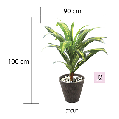 ต้นไม้ปลอม,กระถางต้นไม้,ต้นไม้พร้อมกระถาง,ต้นไม้ประดิษฐ์, ดอกไม้ปลอม,ดอกไม้ประดิษฐ์,แผ่นมอส,แผ่นต้นไม้,ติดผนัง,สวนแนวตั้ง,กระบองเพชร,ใส่กระถาง ,แต่งบ้าน, แต่งคอนโด, รีสอร์ท,โรงแรม,ของตกแต่งบ้าน,ของตกแต่งสวน,ตุ๊กตาแต่งสวน,ตุ๊กตาสังกะสี,โมบาย